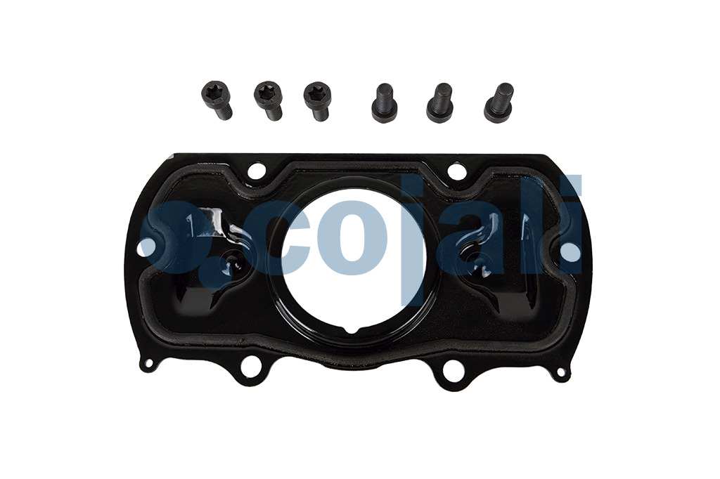 6082531 NO OEM BRAKE CALIPER REPAIR KIT Cojali Parts