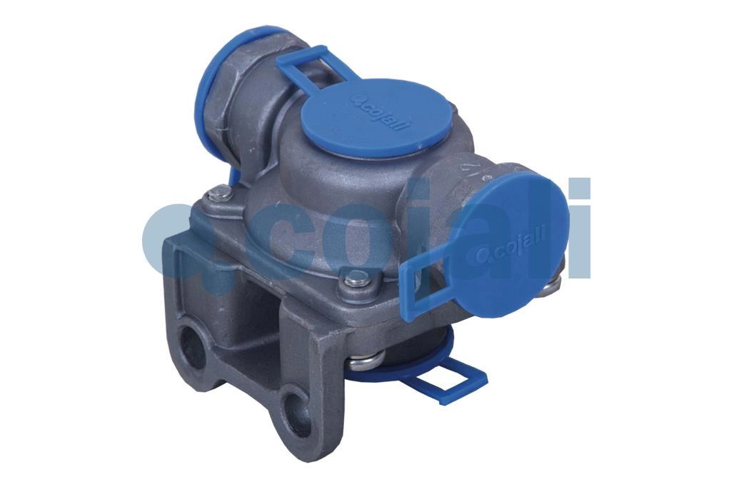 QUICK RELEASE VALVE, 2221200, 9735000000