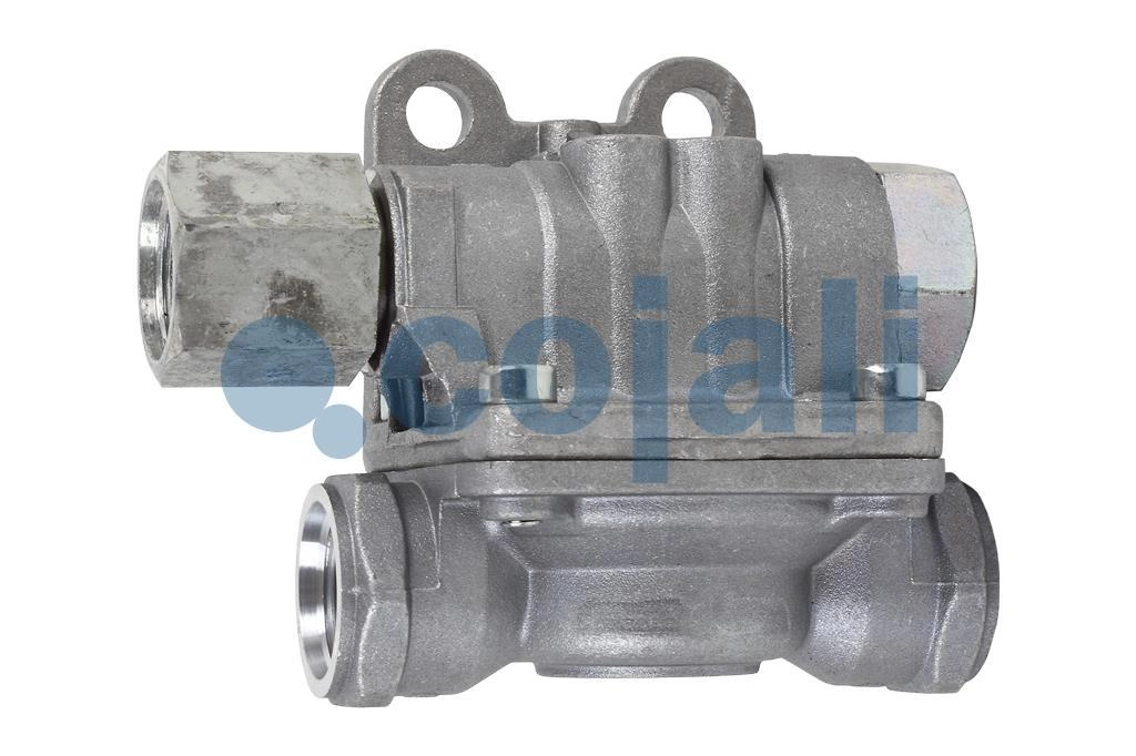 QUICK RELEASE VALVE, 2221214, 9735000630