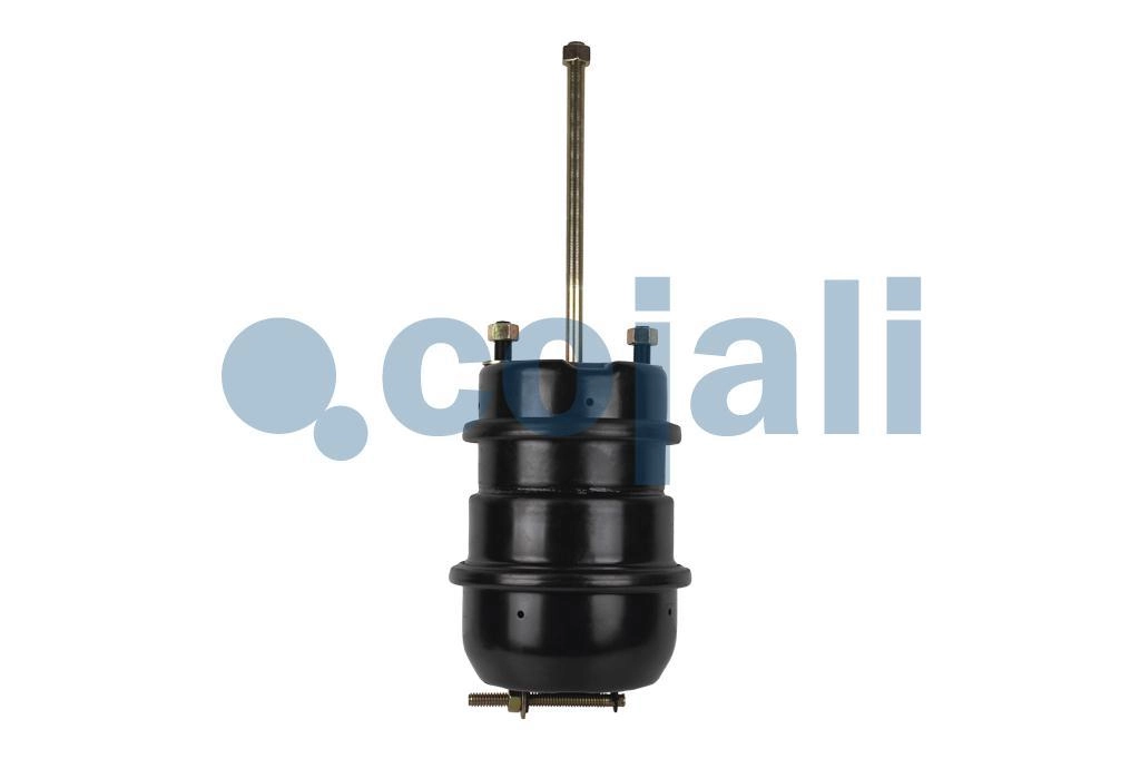 DOUBLE DIAPHRAGM SPRING BRAKE 24/30, 2251429, 9253760000