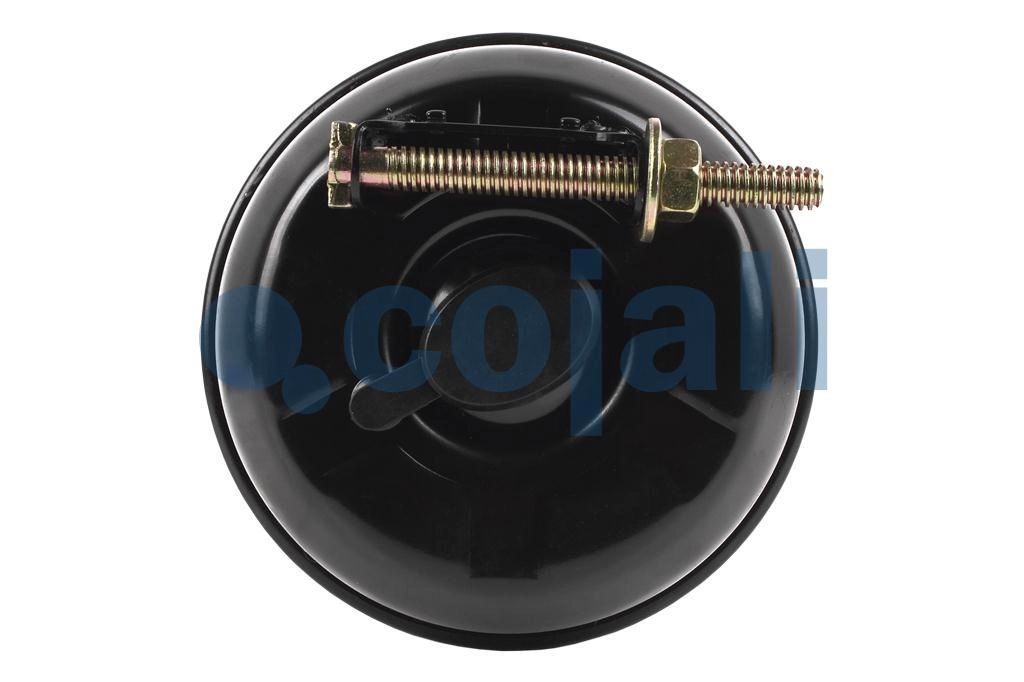 DOUBLE DIAPHRAGM SPRING BRAKE 24/30, 2251429, 9253760000