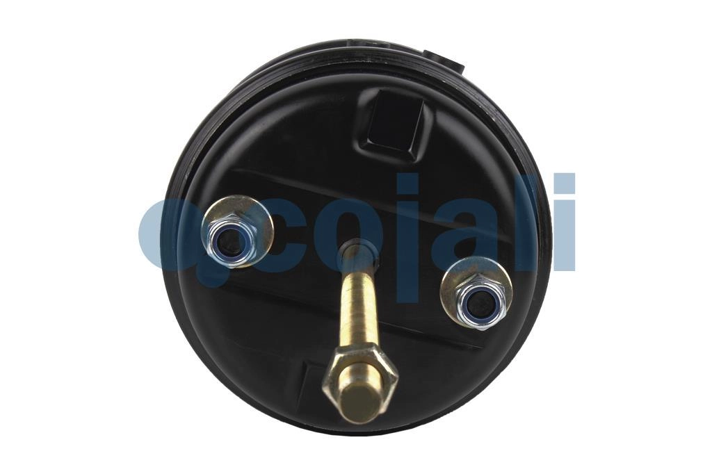 DOUBLE DIAPHRAGM SPRING BRAKE 30/30, 2251431, 9253771000