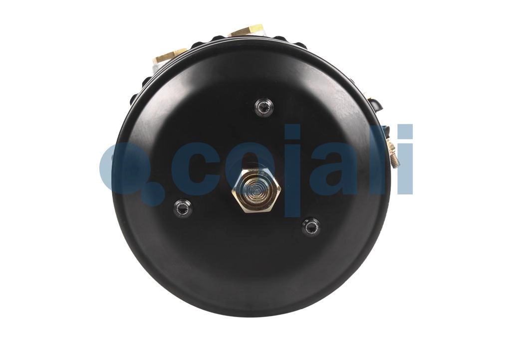 SPRING BRAKE (CAM BRAKE) 20/24, 2259108, 9254301000