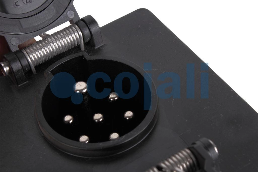 ADAPTATEUR FLEXIBLE 15 PINS A 7S/7N REMORQUE, 2260111, 0005452084