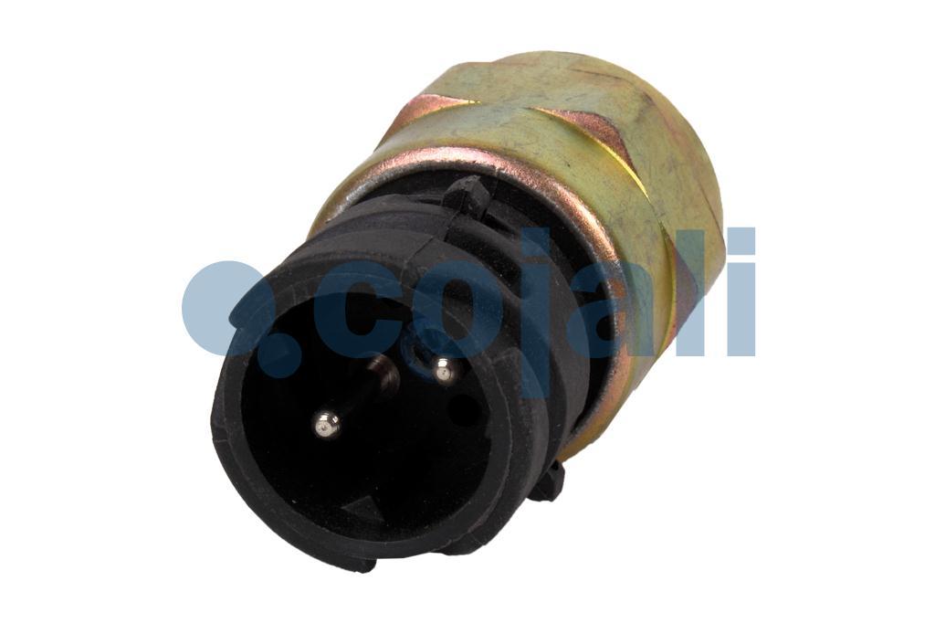 PRESSURE SWITCH, 2260419, 20382506