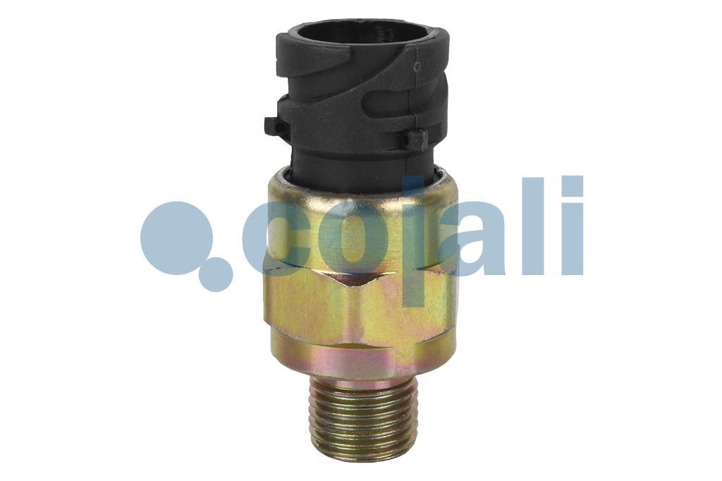 PRESSURE SWITCH, 2260449, 20382513