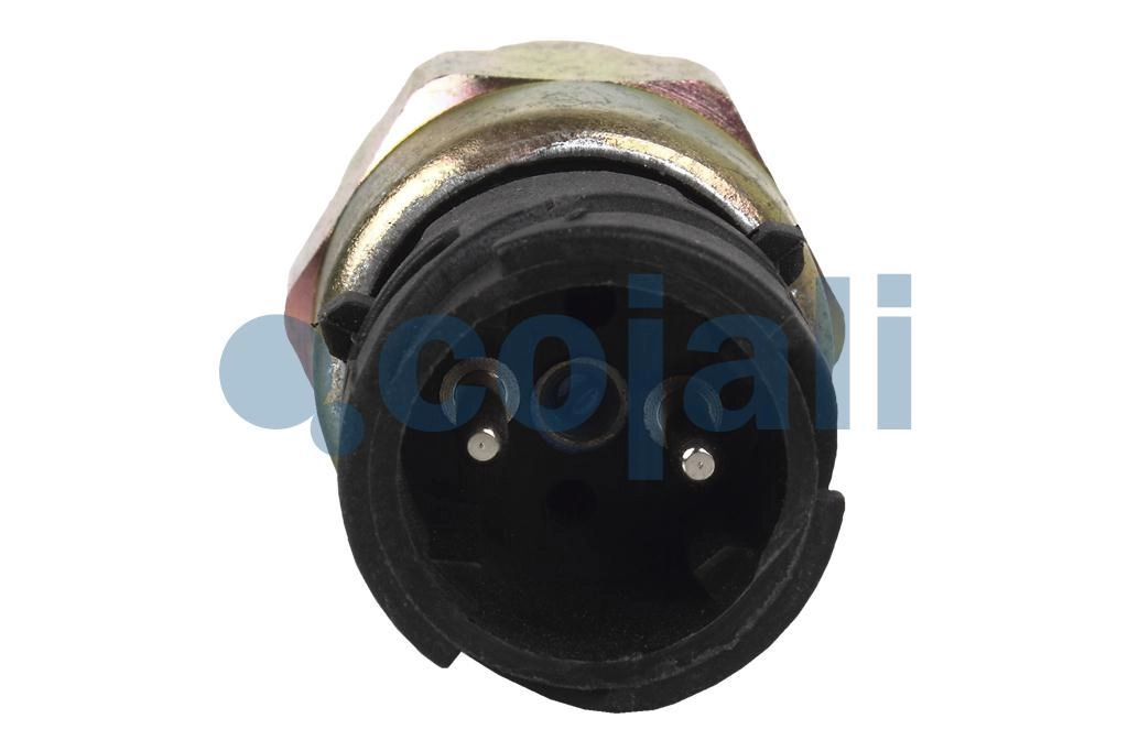 PRESSURE SWITCH, 2260449, 20382513