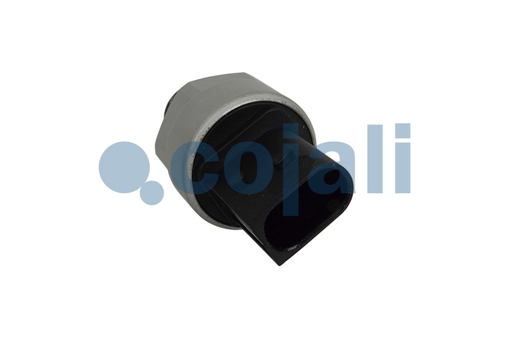 2260930 | 4410442040 | AIR PRESSURE SENSOR - Cojali Parts