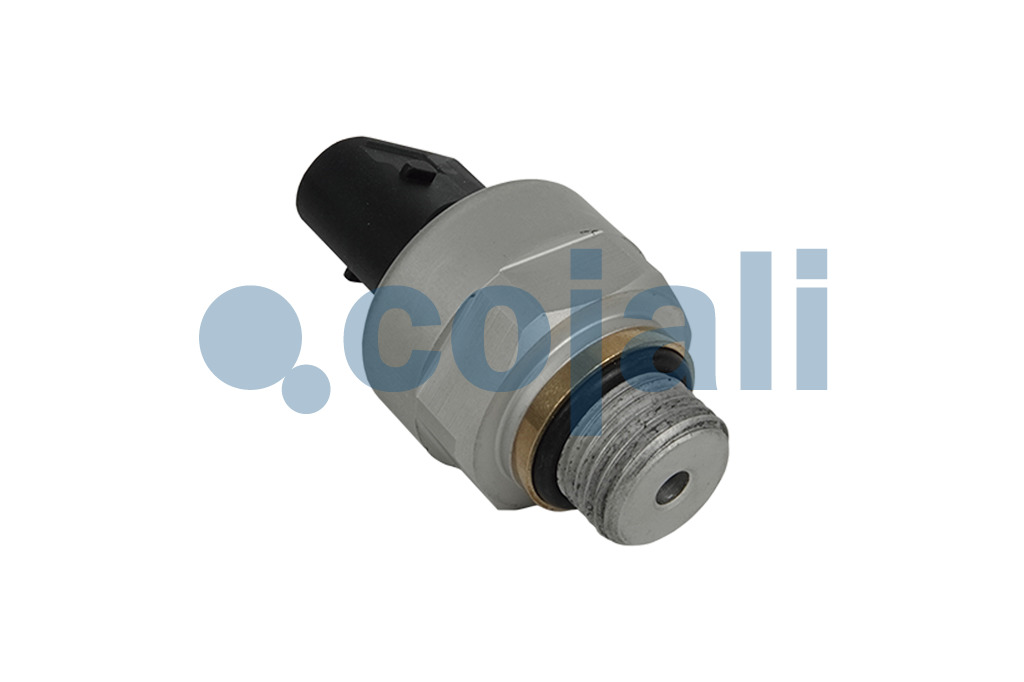 2260930 | 4410442040 | AIR PRESSURE SENSOR - Cojali Parts