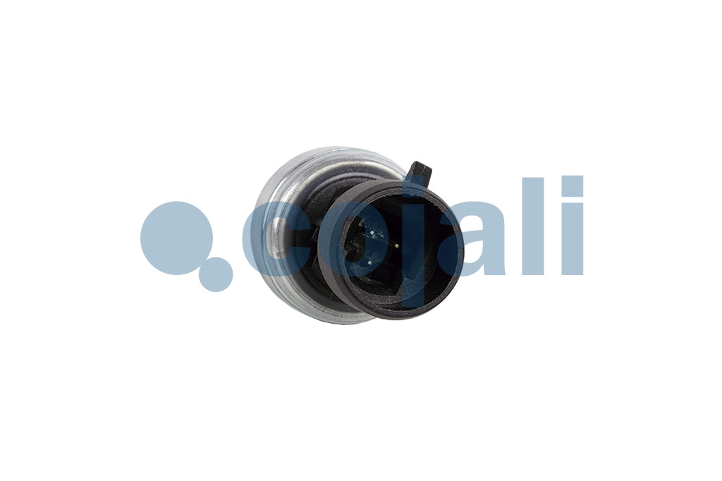 PRESSURE SWITCH, 2263016, 194-6725