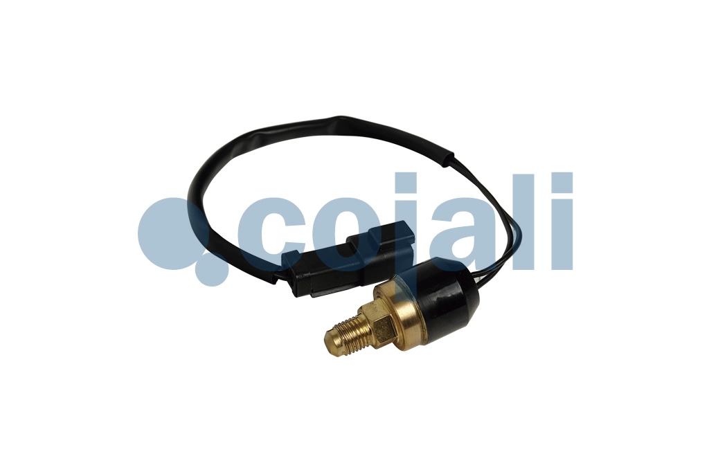 PRESSURE SWITCH, 2263020, 309-5769