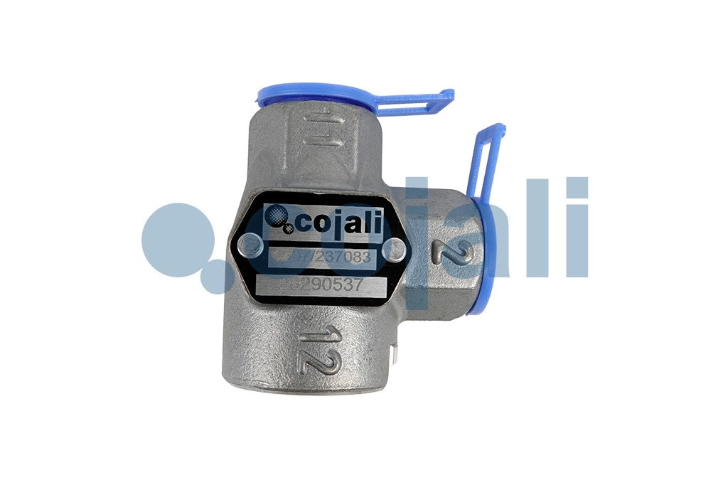 DOUBLE CHECK VALVE, 2307100, AE4146