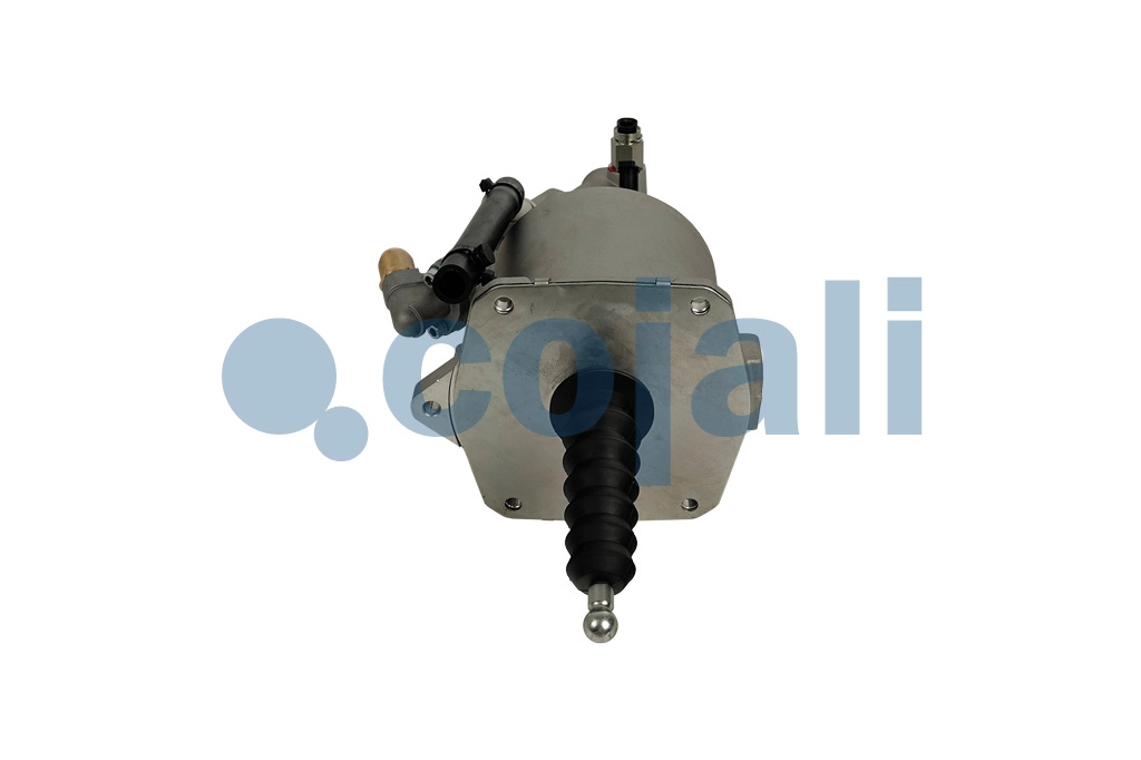 CLUTCH SERVO, 2550206, 1000785679AM