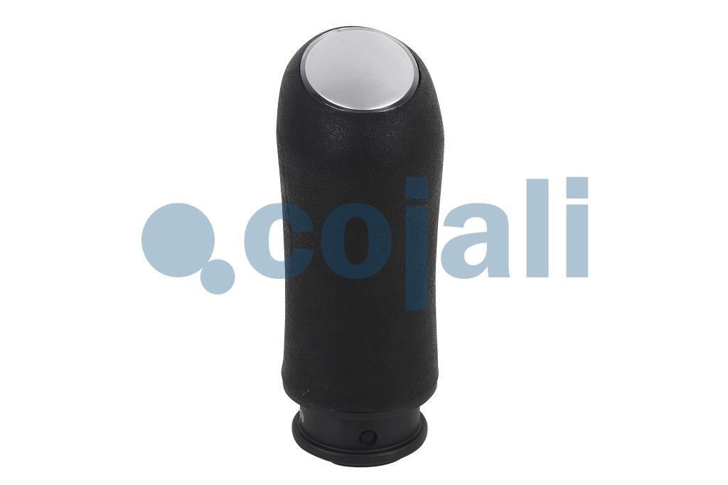 GEARBOX KNOB, 2880156, 7420915349