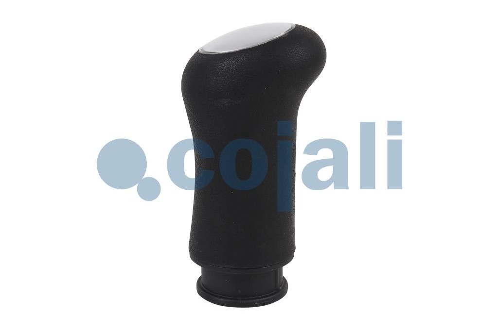 GEARBOX KNOB, 2880156, 7420915349