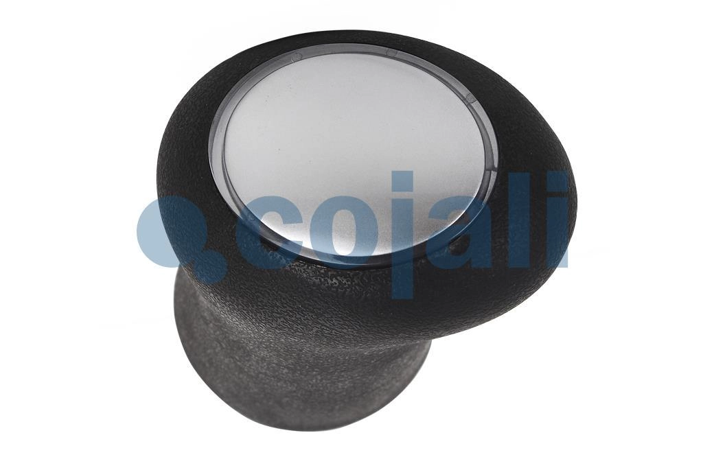 GEARBOX KNOB, 2880156, 7420915349