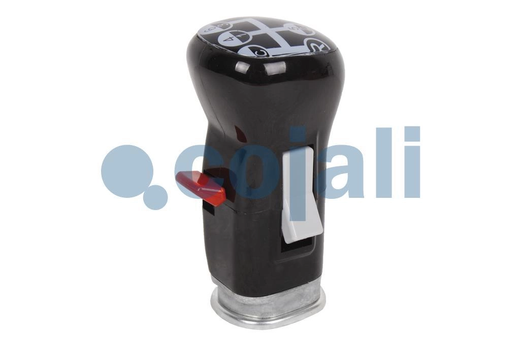 GEARBOX KNOB, 2880161, 1655853