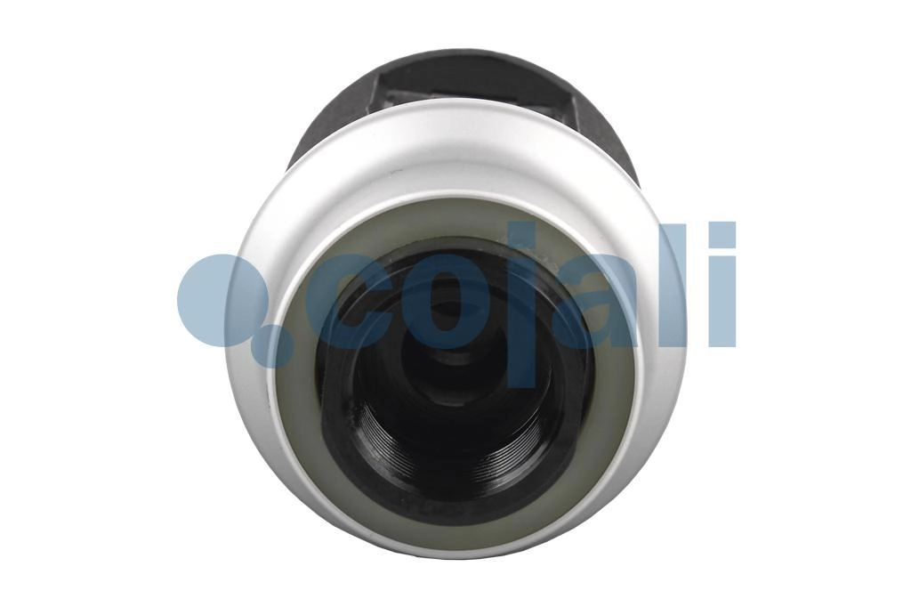 GEARBOX KNOB, 2880171, 1482996