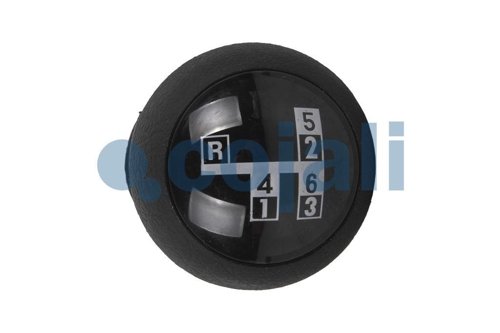 GEARBOX KNOB, 2880176, 1482995