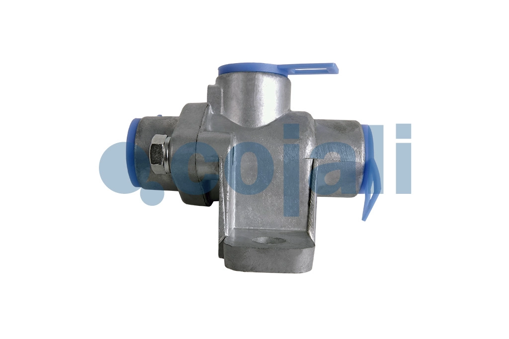 CHECK VALVE, 2991089, 278614