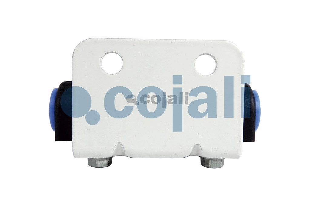 QUICK RELEASE VALVE, 2991143, 802743