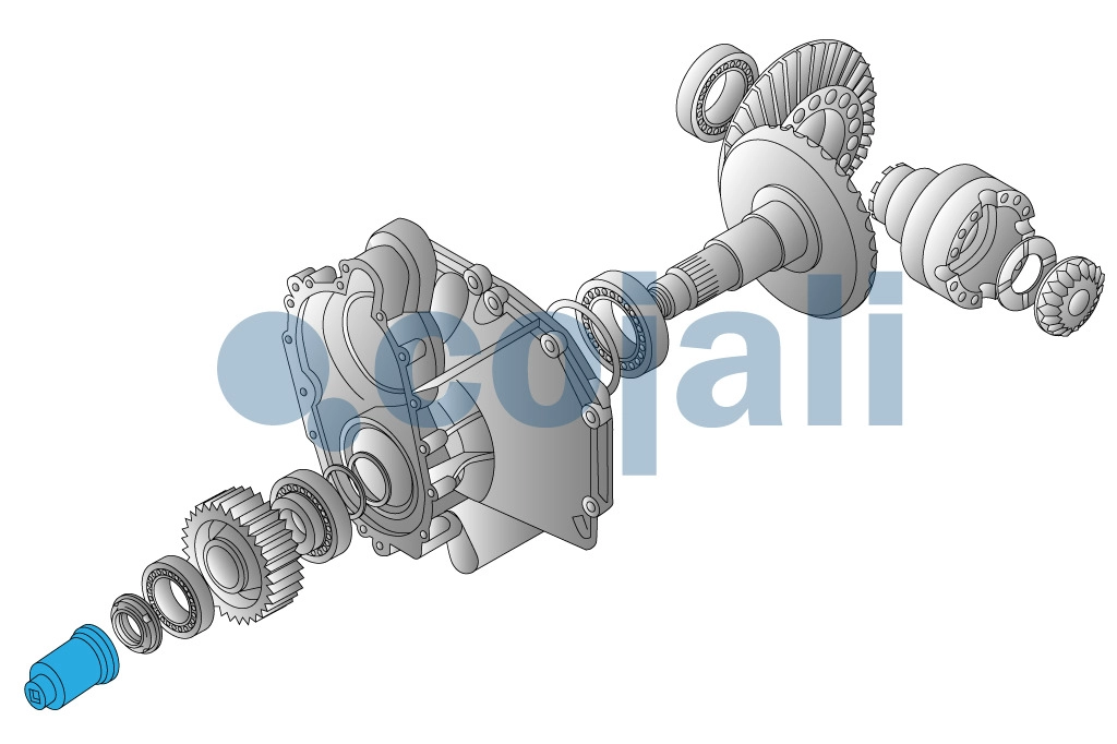 КЛЮЧ ДЛЯ 4-ШЛИЦЕВОЙ ГАЙКИ, 3/4", 70-76 ММ, 50105075, 50105075