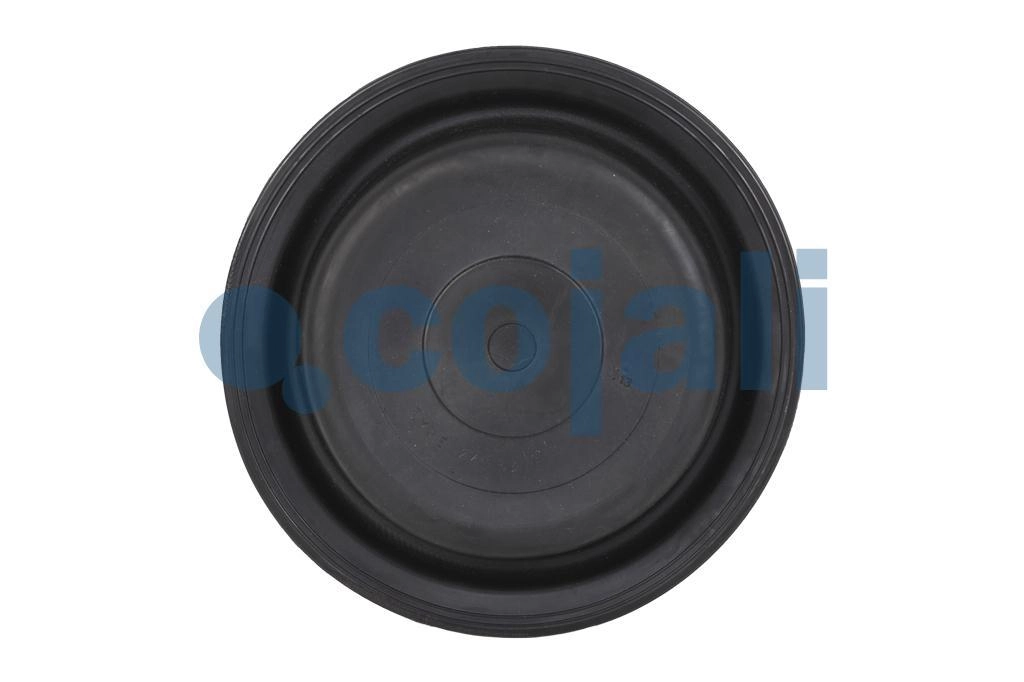 24" DIAPHRAGM DISC BRAKE, 6001118, 47577017122