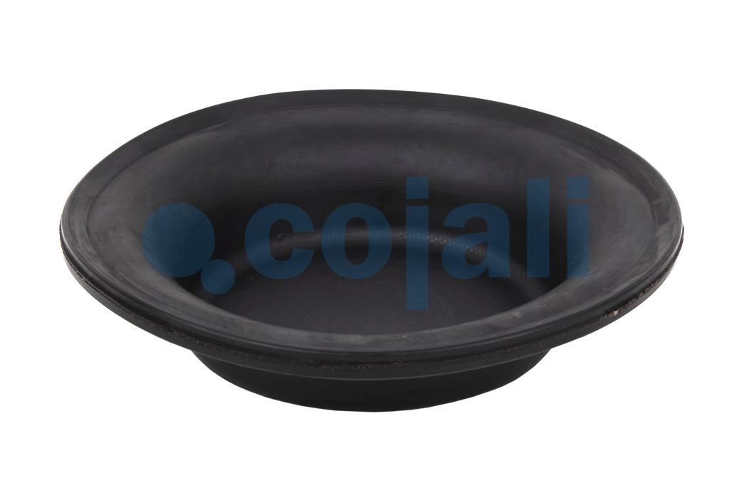 27" DIAPHRAGM NORMAL STROKE, 6001120, 8971205474