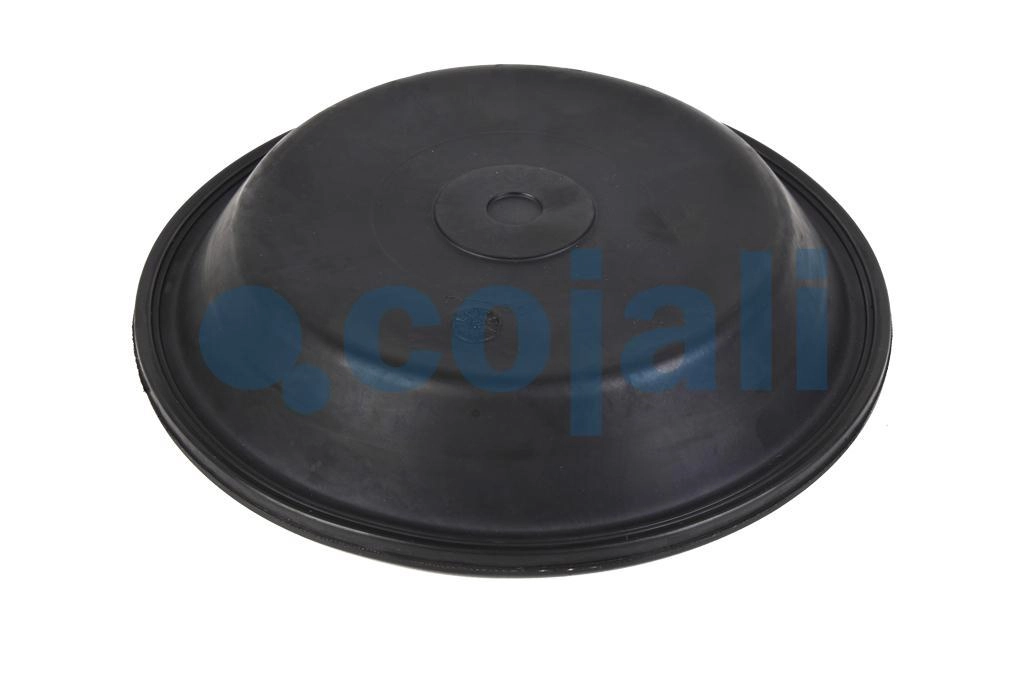 30" DIAPHRAGM NORMAL STROKE, 6001121, 8971205404