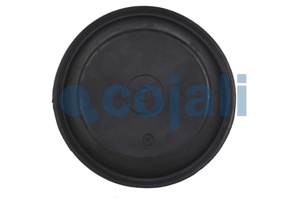 30" DIAPHRAGM NORMAL STROKE, 6001121, 8971205404