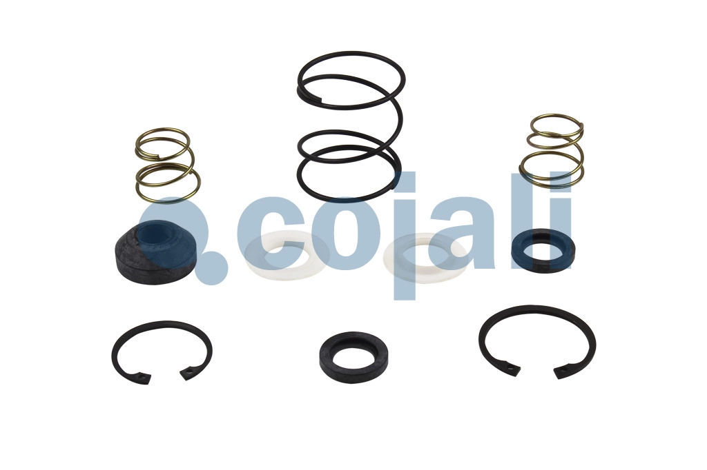 VALVE REPAIR KIT, 6012003, NO OEM