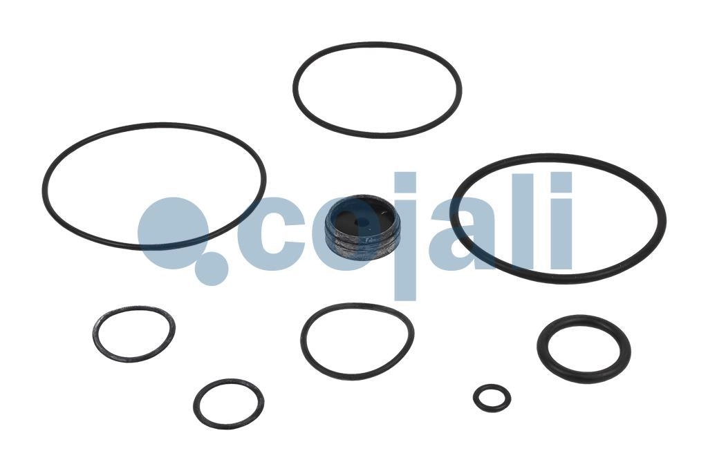 VALVE REPAIR KIT, 6012033, 9730110002