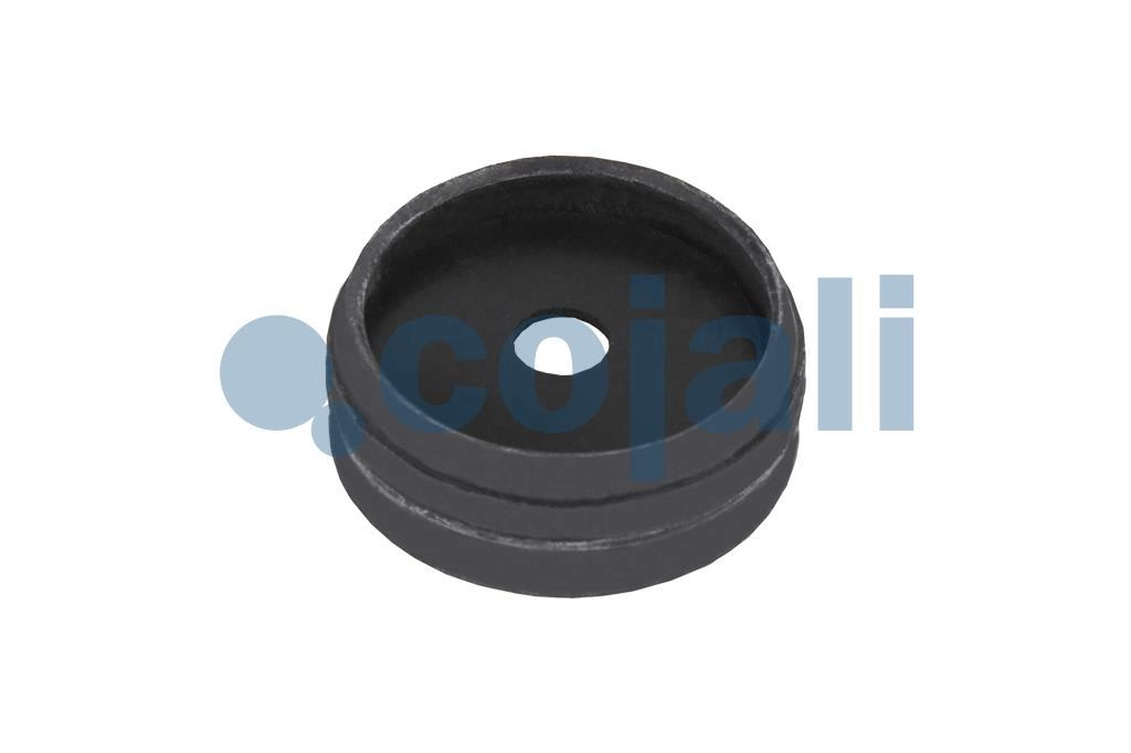 VALVE REPAIR KIT, 6012033, 9730110002