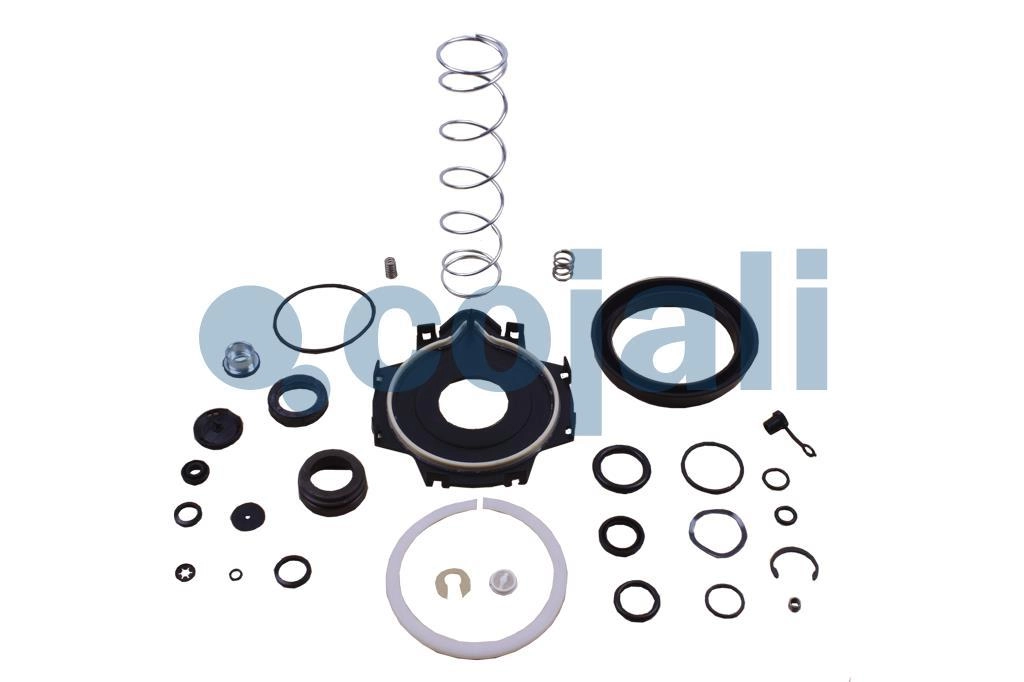 CLUTCH SERVO REPAIR KIT, 6012048, 9700519572