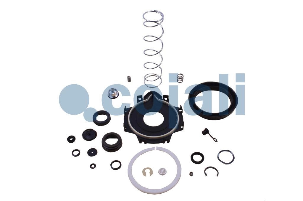 CLUTCH SERVO REPAIR KIT, 6012048, 9700519572