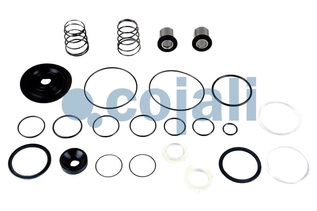 VALVE REPAIR KIT, 6012051, 4613190092