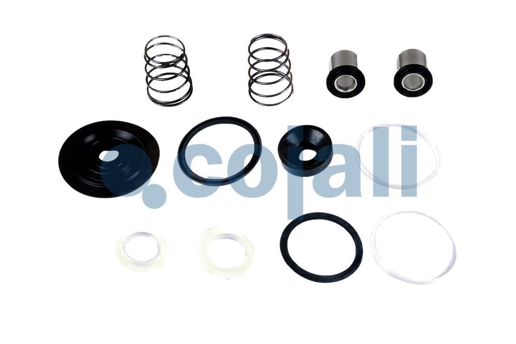 VALVE REPAIR KIT, 6012051, 4613190092