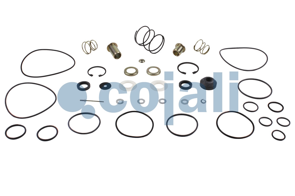 VALVE REPAIR KIT, 6012063, 4613070022