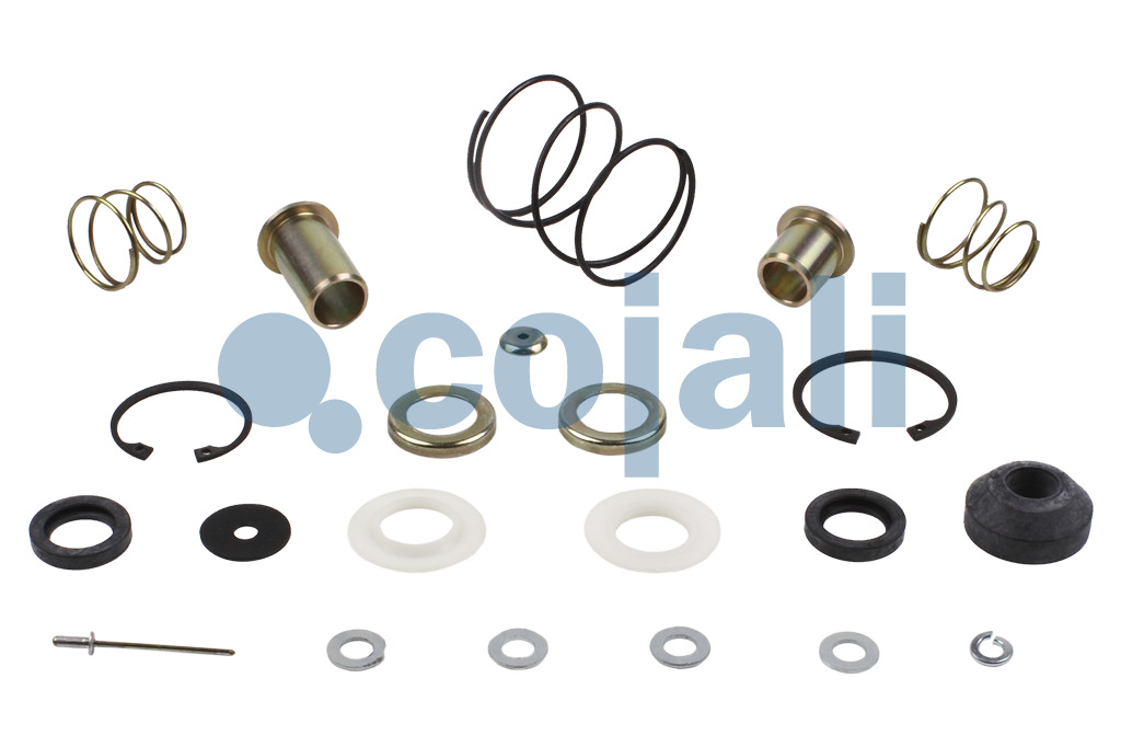 KIT DE RÉPARATION DE VALVE, 6012063, 4613070022