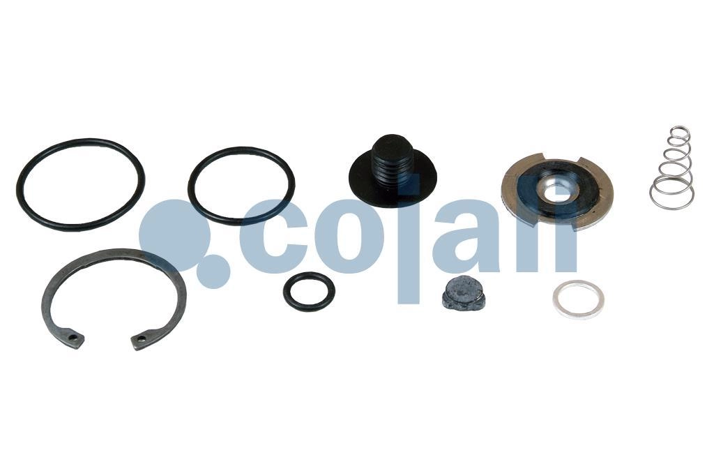 VALVE REPAIR KIT, 6012078, 4756040022