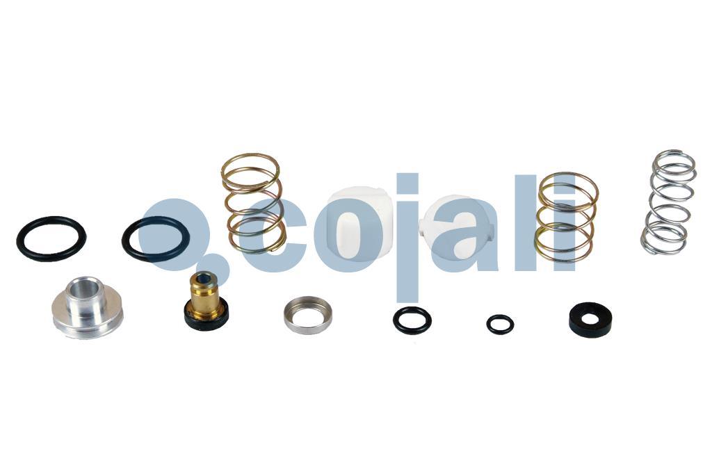 VALVE REPAIR KIT, 6012102, NO OEM