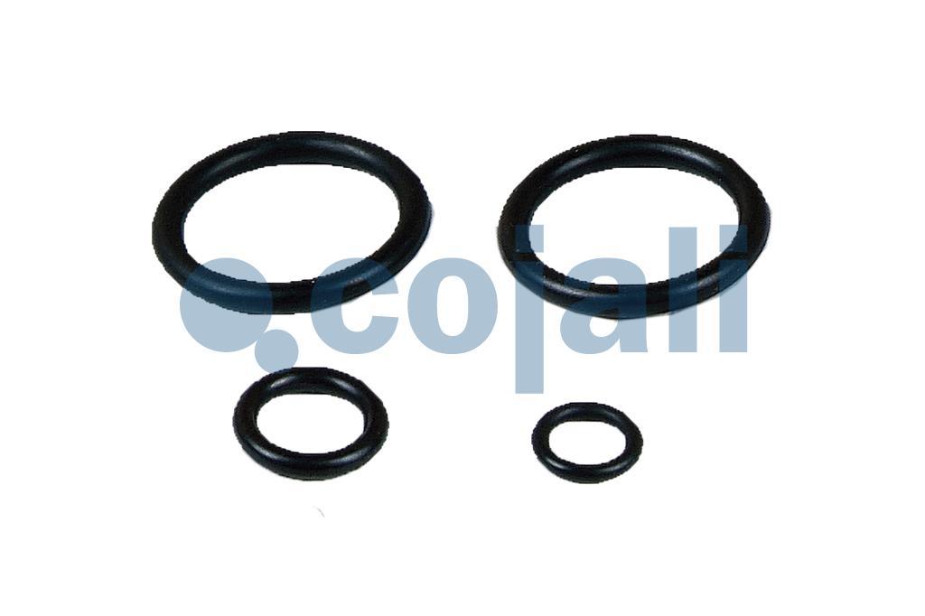 VALVE REPAIR KIT, 6012102, NO OEM