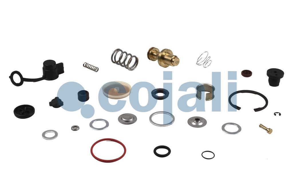 VALVE REPAIR KIT, 6012113, NO OEM