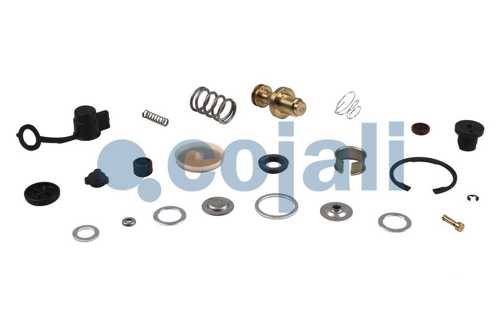 VALVE REPAIR KIT, 6012113, NO OEM