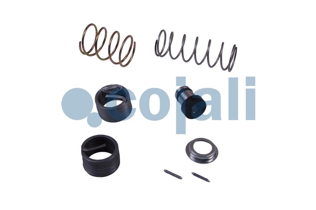 VALVE REPAIR KIT, 6012120, 9617220062