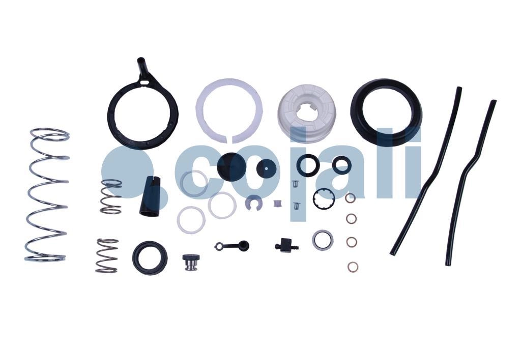 CLUTCH SERVO REPAIR KIT, 6012131, 9700519042