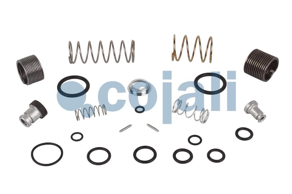 VALVE REPAIR KIT, 6012137, 9617220032