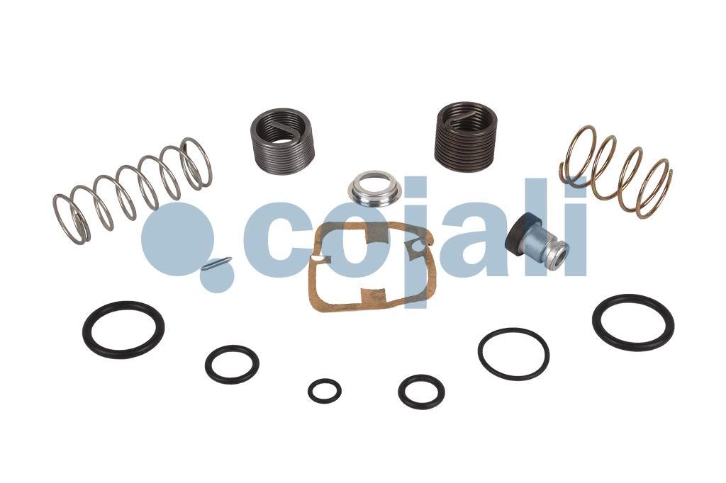 VALVE REPAIR KIT, 6012139, 9617220022