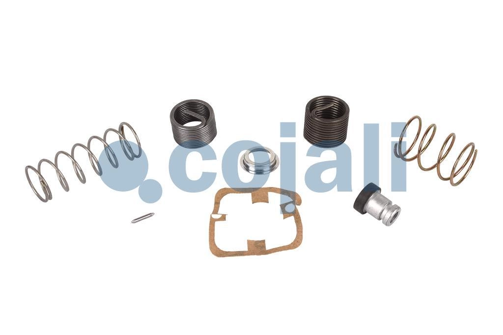 VALVE REPAIR KIT, 6012139, 9617220022