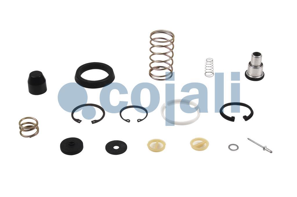 6012152 | 9710020032 | VALVE REPAIR KIT - Cojali Parts